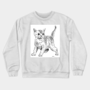 Cute little fluffy kitten! Crewneck Sweatshirt